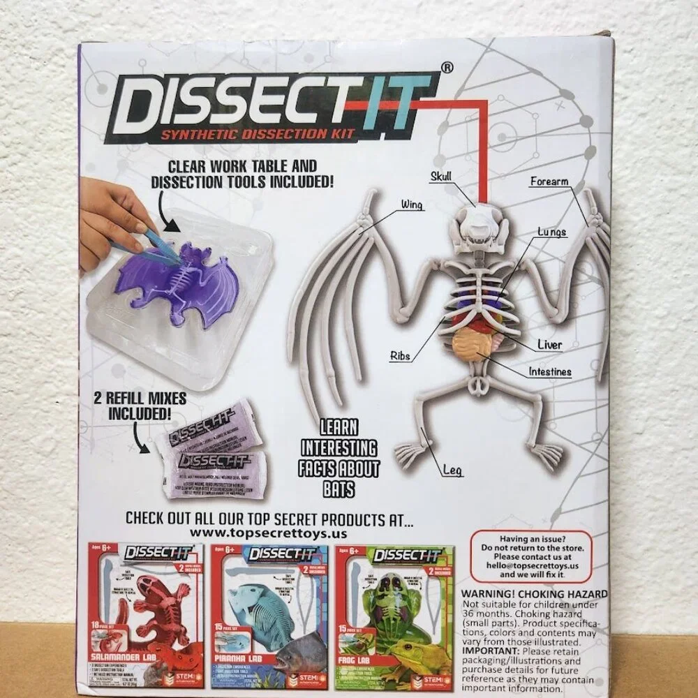 NEW Dissect-it Synthetic Lab Dissection Toy STEM KIT CRAFT Project Bat Biology A